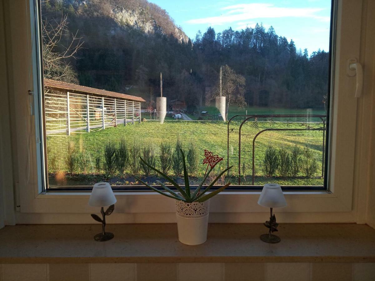Entire House Iris & Arnika * Bled